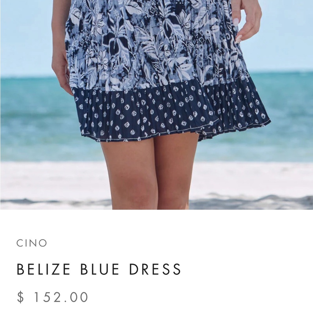 NWOT Cino Belize Blue dress - Floral Sleeveless Dress with Ruffle Hem - Picture 2 of 5